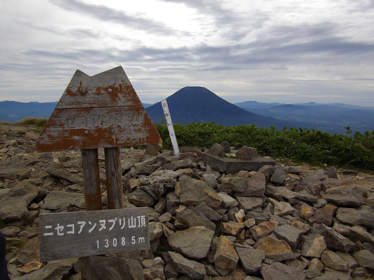 d0231339_16471924.jpg