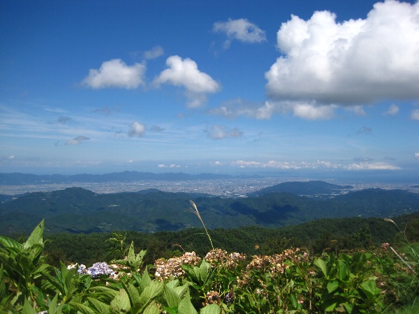 b0149340_14501839.jpg