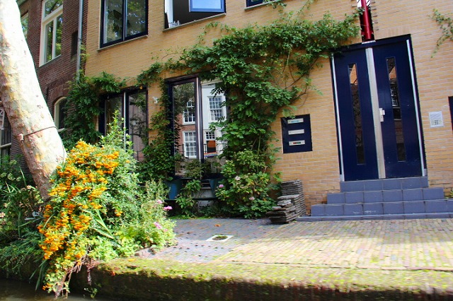c0153740_1853994.jpg