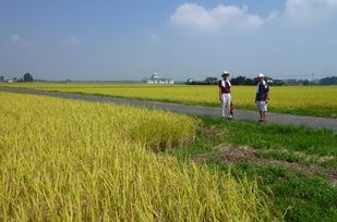 b0220251_3345668.jpg