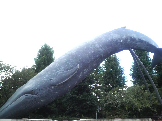 b0061261_2333646.jpg