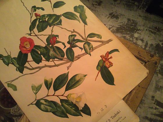 c0172261_17222762.jpg
