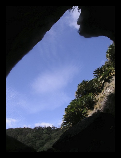 b0062363_1930663.jpg