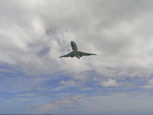 f0110663_2056517.jpg