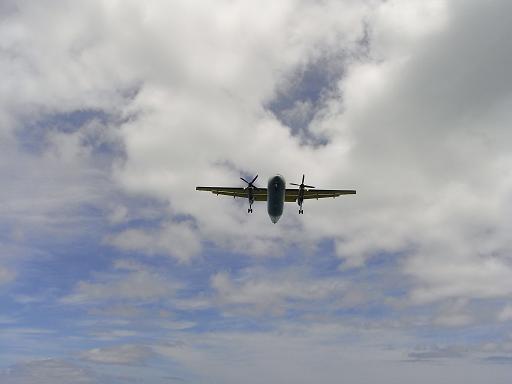 f0110663_2059201.jpg
