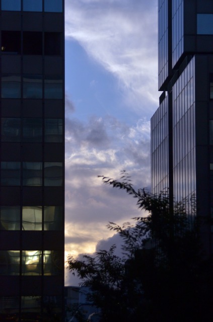 b0131167_1359239.jpg