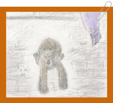 a0211669_21354449.gif