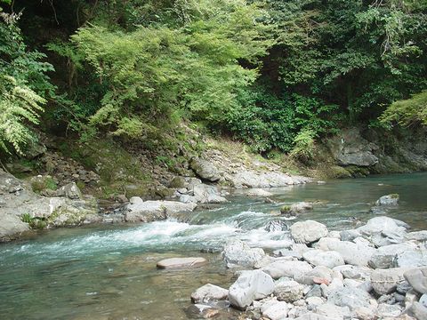b0194872_21405740.jpg