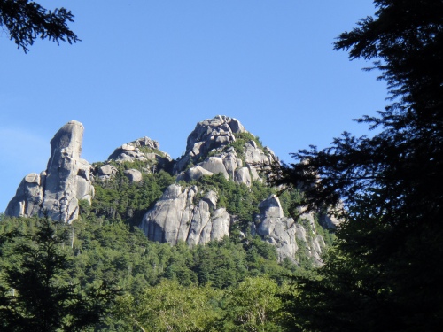 d0182075_4403345.jpg