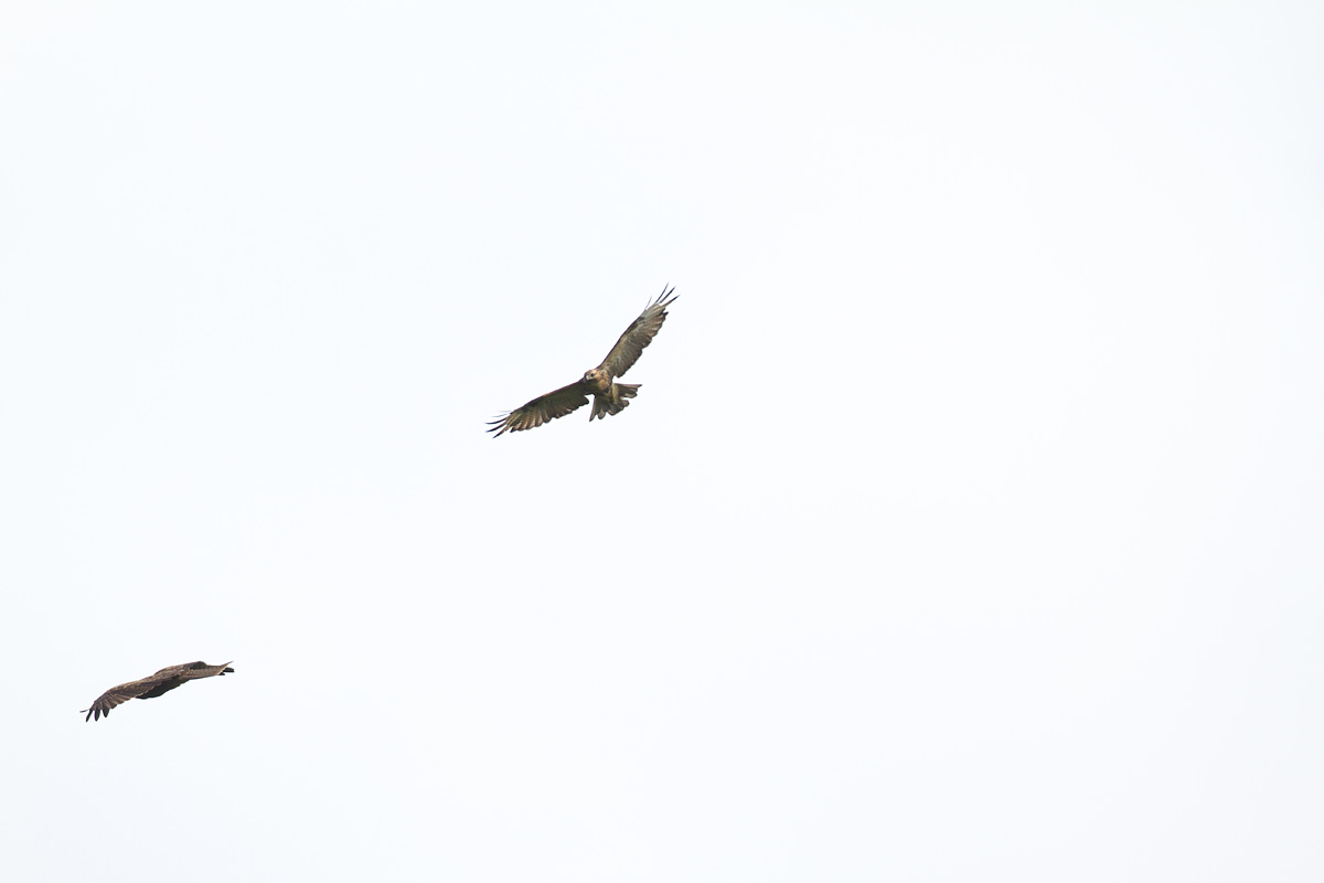 b0180476_018231.jpg
