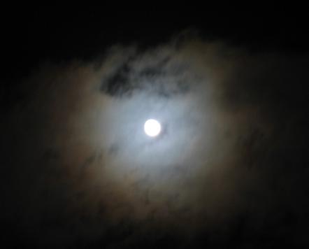 e0130185_20552689.jpg