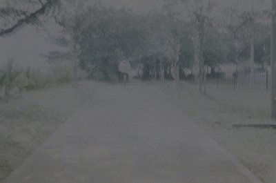 c0160387_12181626.jpg