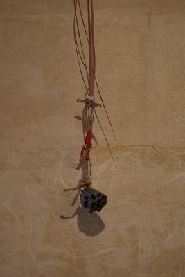 f0079289_2237040.jpg