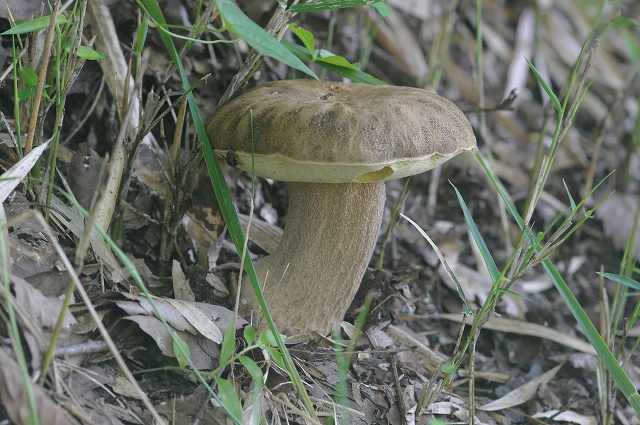 e0070891_18365932.jpg