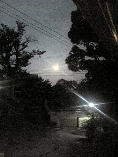 e0175702_1971899.jpg