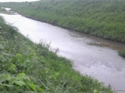 f0082402_22145981.jpg
