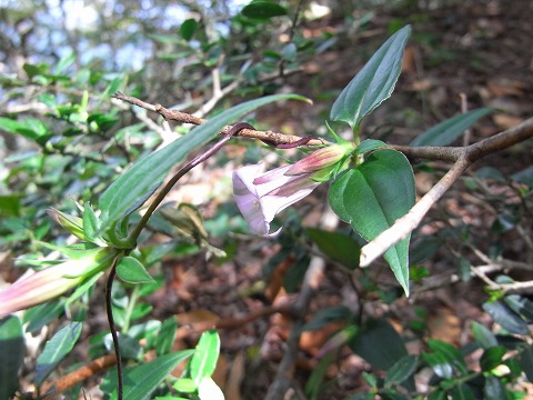 f0187402_20592274.jpg