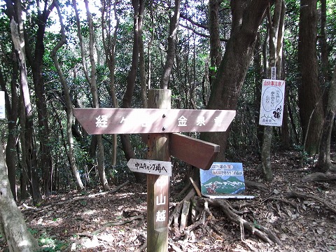 f0187402_2059328.jpg