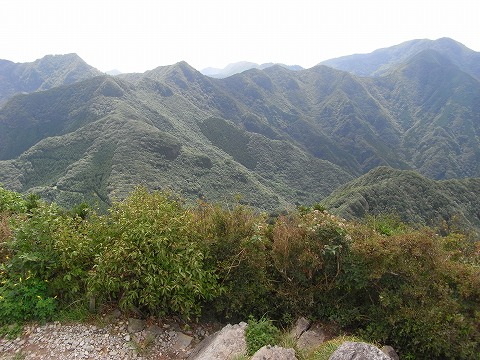 f0187402_20593971.jpg