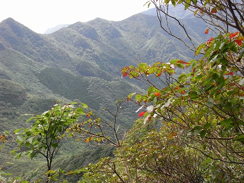 f0187402_2059477.jpg