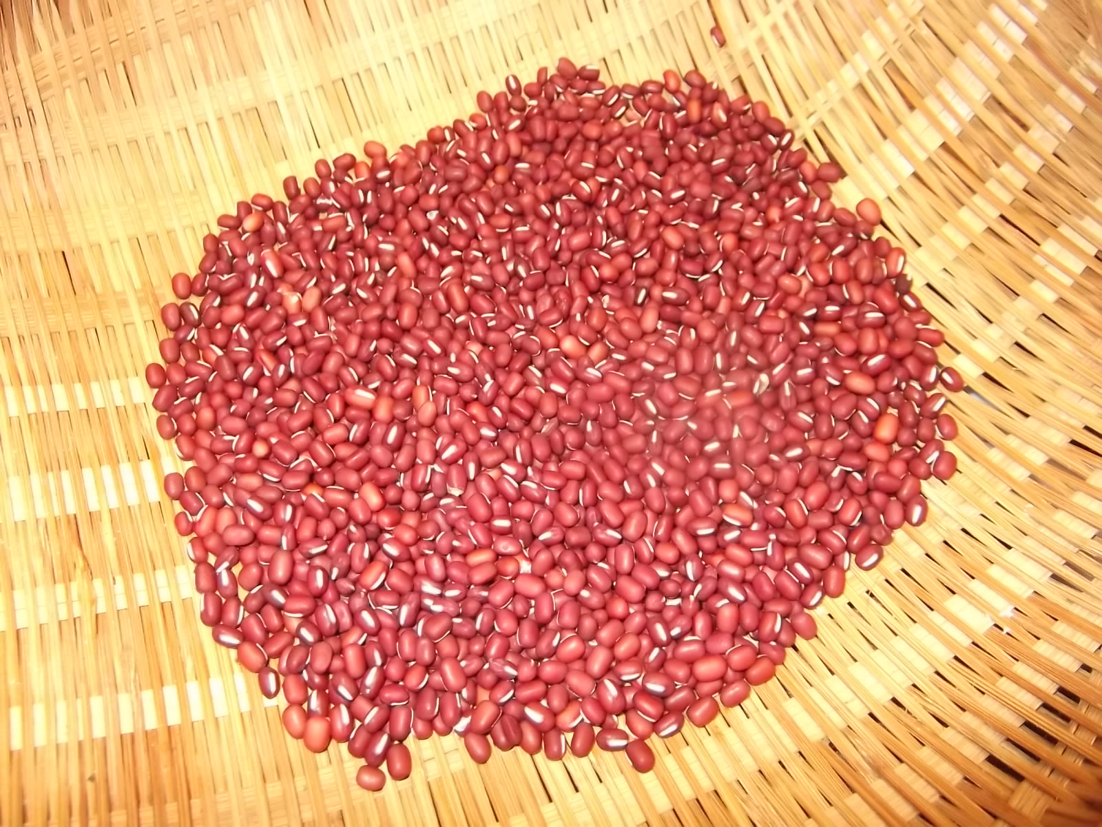 a0203003_1540207.jpg