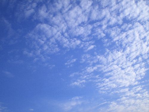 f0206605_18462595.jpg