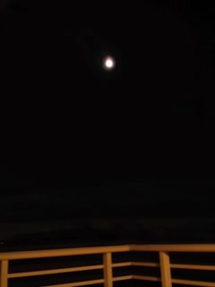 b0085408_223114.jpg