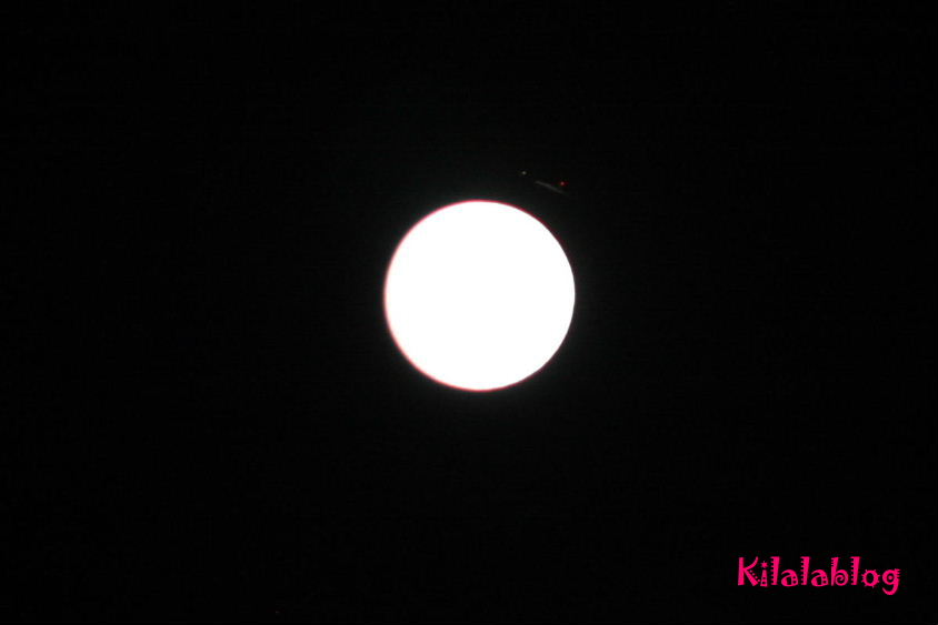 e0130008_20495470.jpg