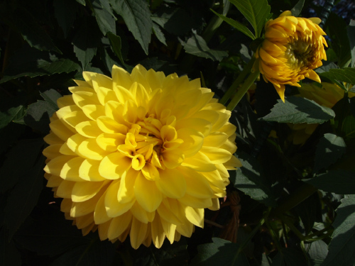 c0175715_1562415.jpg