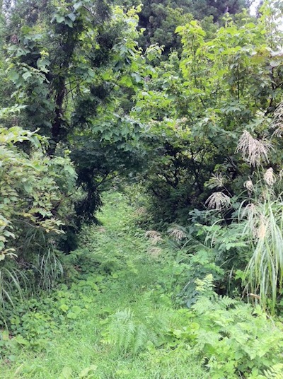 e0105916_9381034.jpg