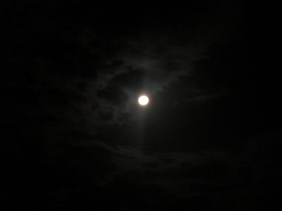 f0208418_20123568.jpg