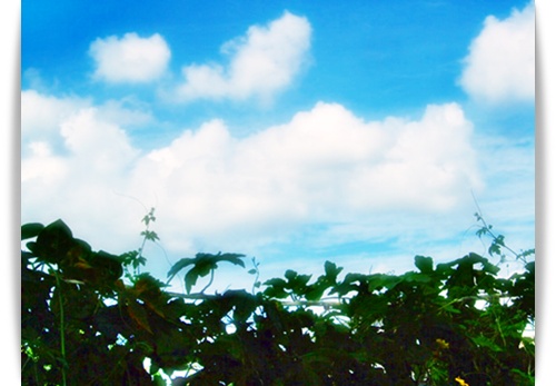 e0136420_10431470.jpg