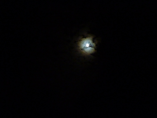 f0028123_16102761.jpg