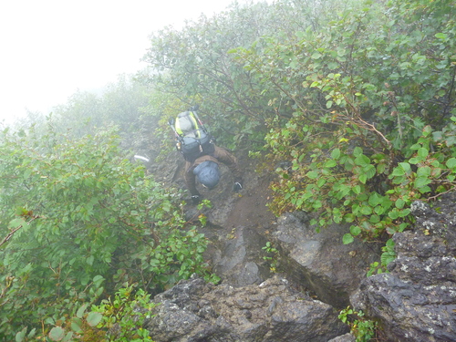 f0028123_1614341.jpg