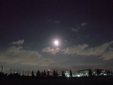 d0104029_23201613.jpg