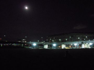 d0104029_23203430.jpg