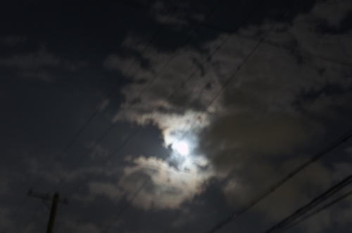 e0134032_2022249.jpg