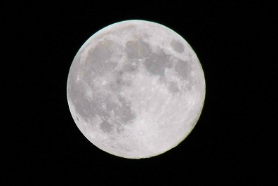e0166032_2055419.jpg