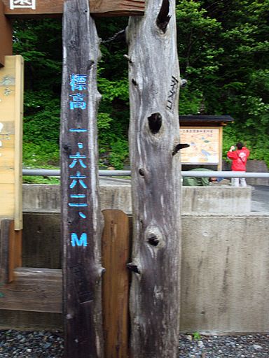 b0012636_8455271.jpg