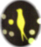 a0155838_19532722.jpg