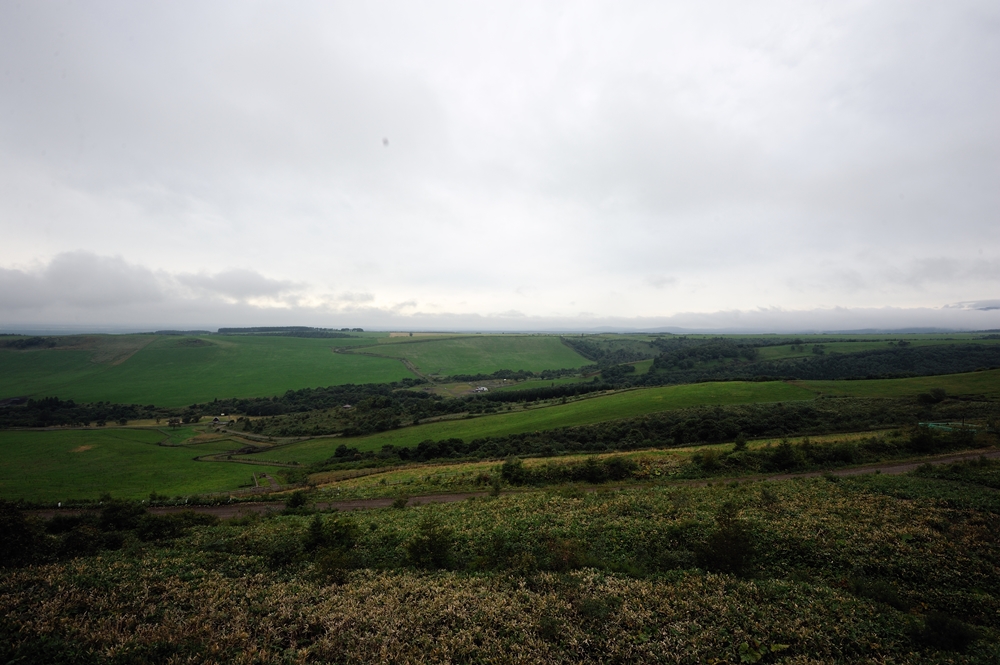 c0221838_19232929.jpg