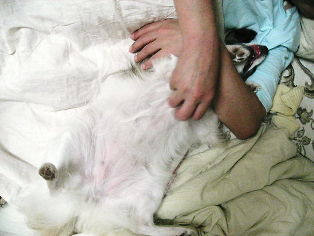 a0149240_9564895.jpg