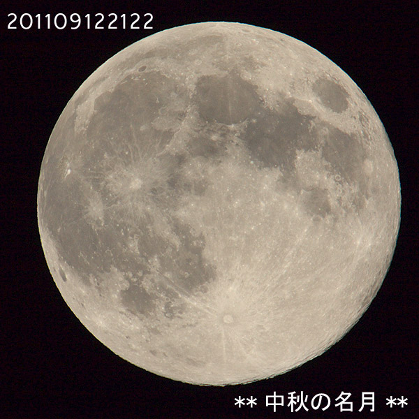 a0166940_21551363.jpg
