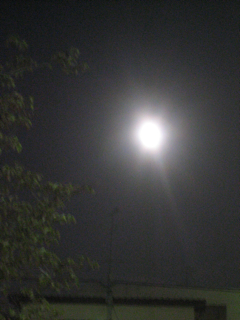 b0209944_20154731.jpg