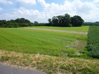 b0220251_4414379.jpg