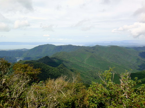 c0179351_11264969.jpg
