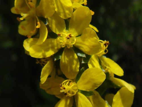 c0179351_11274120.jpg