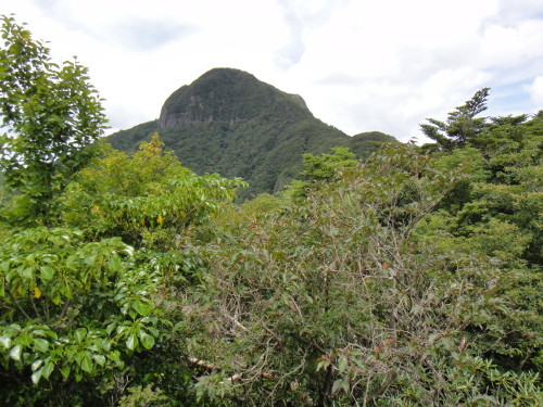 c0179351_1130211.jpg