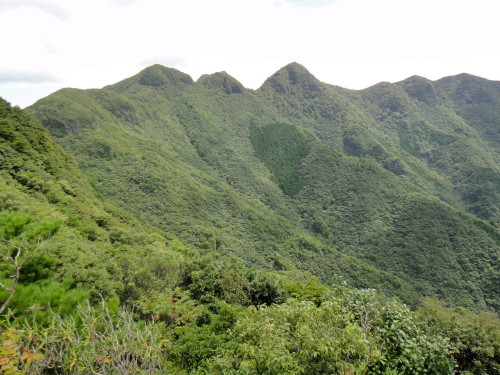 c0179351_1133121.jpg