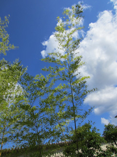 a0052952_2156448.jpg